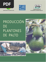 Plan de Trabajo de Produccion de Palto