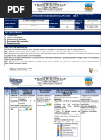 PLANIFICACIÓN 9 Semanas Lengua