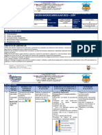 PLANIFICACIÓN 9 Semanas Lectura Crítica