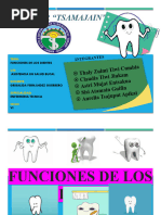 Funciones de Los Dientes