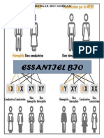 Bio Terminale-1 00