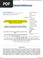 CASO 1. Contaminación de La Bahía de Cohana, Lago Titicaca (Bolivia) Desafíos y Oportunidades para Promover Su Recuperación (MARCADOR)