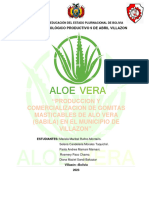 Proyecto Terminado de Aloe Vera