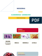 12 Neisseria y Moraxella Act Prcil