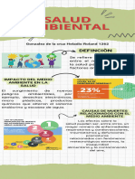 Salud Ambiental