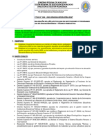 Directiva-Finalización 2022 DGP DREA - FINAL FINAL