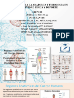 Regiones Anatomicas Del Cuerpo Humano