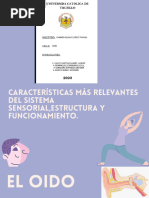 Presentación Biología Cuerpo Humano Huesos Orgánico Ilustrado Rosa y Lila