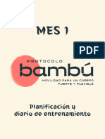 Protocolo Bamb Mes 1