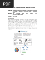 B - Inserarea Si Prelucrarea de Imagini in Word