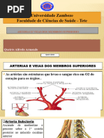 Anatomia Dos M. Superiores