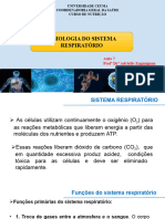 Aaula 7 Fisiologia Do Sistema Respiratã Rio