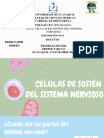 Histologia Celulas de Sosten Del Sistema Nervioso.