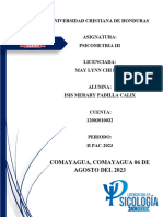 Informe Psicologico Inventario de La Personalidad P-Ipg