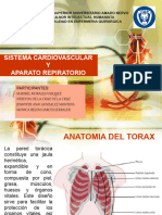 Sistema Cardiovascular