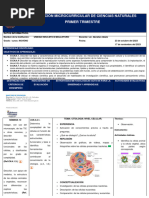 9no - Ccnn-Planificaciòn Disiplinar-1er - Trimestre (4 Semanas)