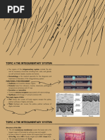 MOYA, John Zeus A. (HUMANA Classwork #3 Prelim)