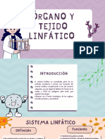 Órgano y Tejido Linfático