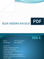 Blok Indera Khusus SGD 6