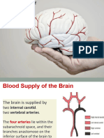 Blood Supply of Brain