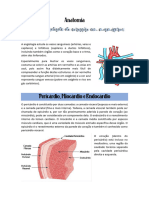 Anatomia Resumo