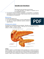 Resumo de Pancreas - Anatomia