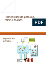 Homeostase Do Potassio Calcio e Fosforo 1