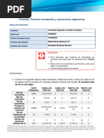 EA3 Formato Términos Semejantes