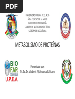 5.5 Metabolismo Prot