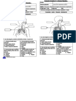 Evaluacion 2 Ciencias