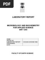 Experiment 1 With Questions