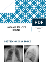 CLASE 2 Identificación Anatomía Pulmonar Normal 2023