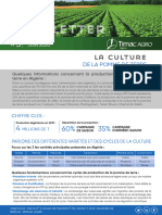 Newsletter Pomme de Terre