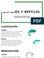 Anfibios y Reptiles