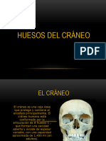 Craneó 