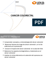 Cancer Colon Vesicula G Strico