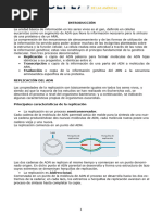 Material de Replicacion, Transcripcion y Traduccion