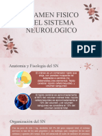 Examen Neurologico