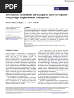 European Management Review - 2023 - Callaghan - Environmental Sustainability and Management Theory Development