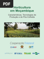 Horticultura em Mocambique PDF