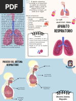 Sistema Respiratorio.