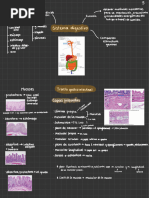 Digestivo: Glandulas