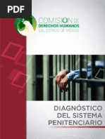 Diagnóstico Del Sistema Penitenciario