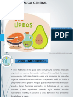 LIPIDOS