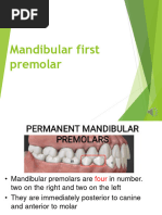 Mandibular First Premolar