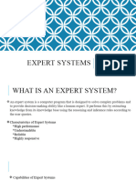 Expert Systems AI