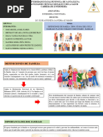 Grupo 4 DEFINICIONES DE FAMILIA, TIPOS, ETAPAS DEL CICLO FAMILIAR. PLAN DE CUIDADO COMUNITARIO - FAMILIAR