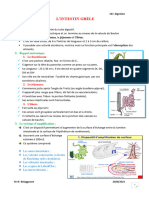 Histologie de Lintestin Grele