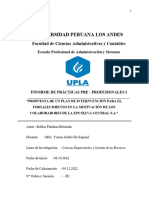 Informe de Practicas - Robles Pañahua Britzaida