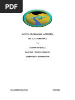 Combustible y Combustion